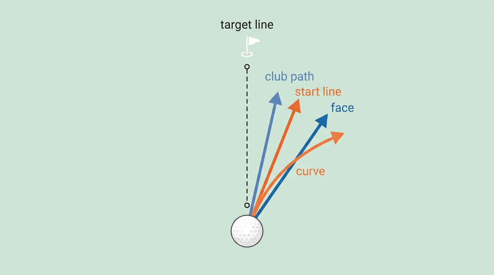 Overhead diagram of impact for a right-handed golfer showing the target line running straight to the flag, a club-path arrow pointing slightly right of target, a clubface-direction arrow pointing further right of the path, the ball's start line launching between the two arrows but closer to the face direction, and a curved flight line bending right, away from the path and toward the face. Labels mark the target line, club path, face direction, start line, and curve.