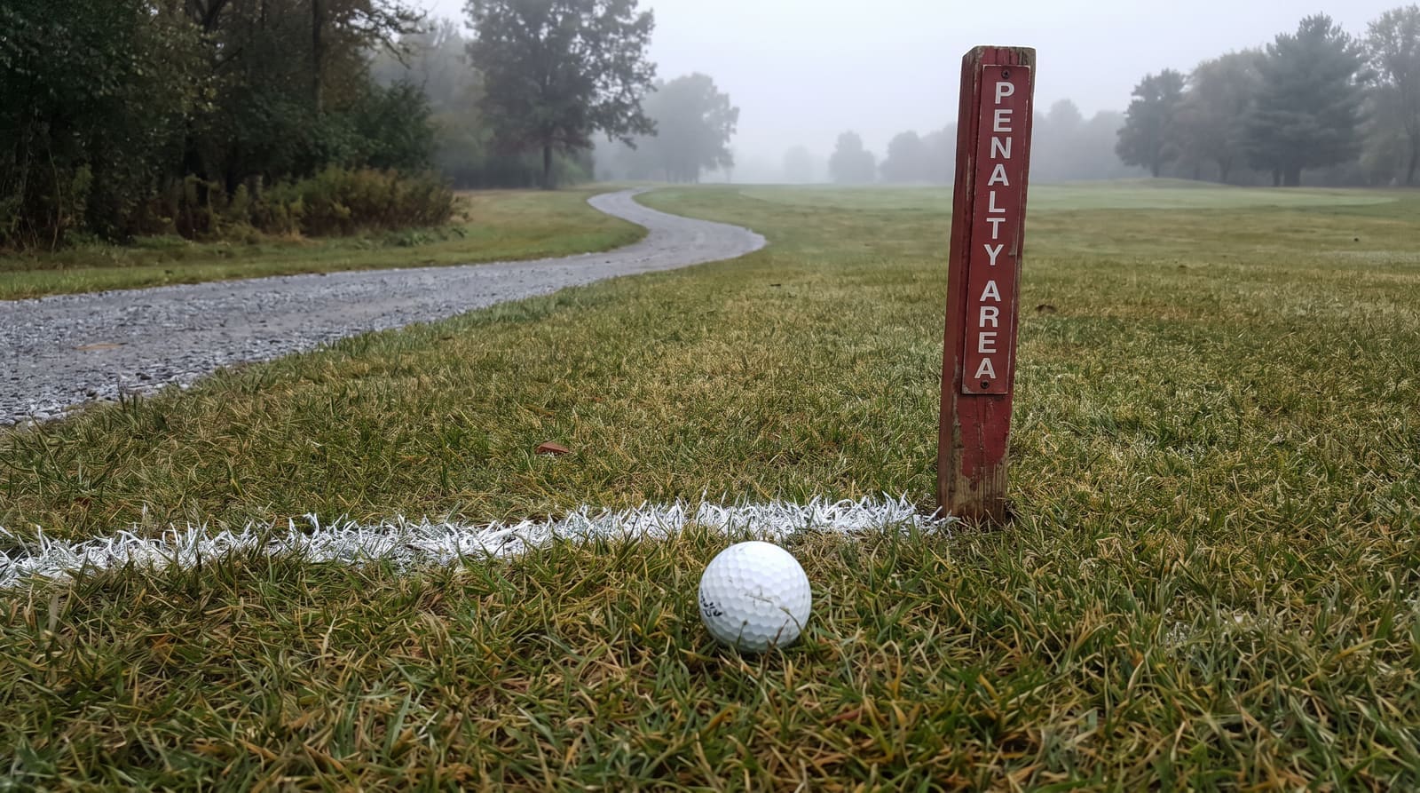 A golf ball at rest on misty mown grass just outside a painted white boundary line, beside a weathered red stake reading Penalty Area, with a gravel cart path curving away into the fog behind it
