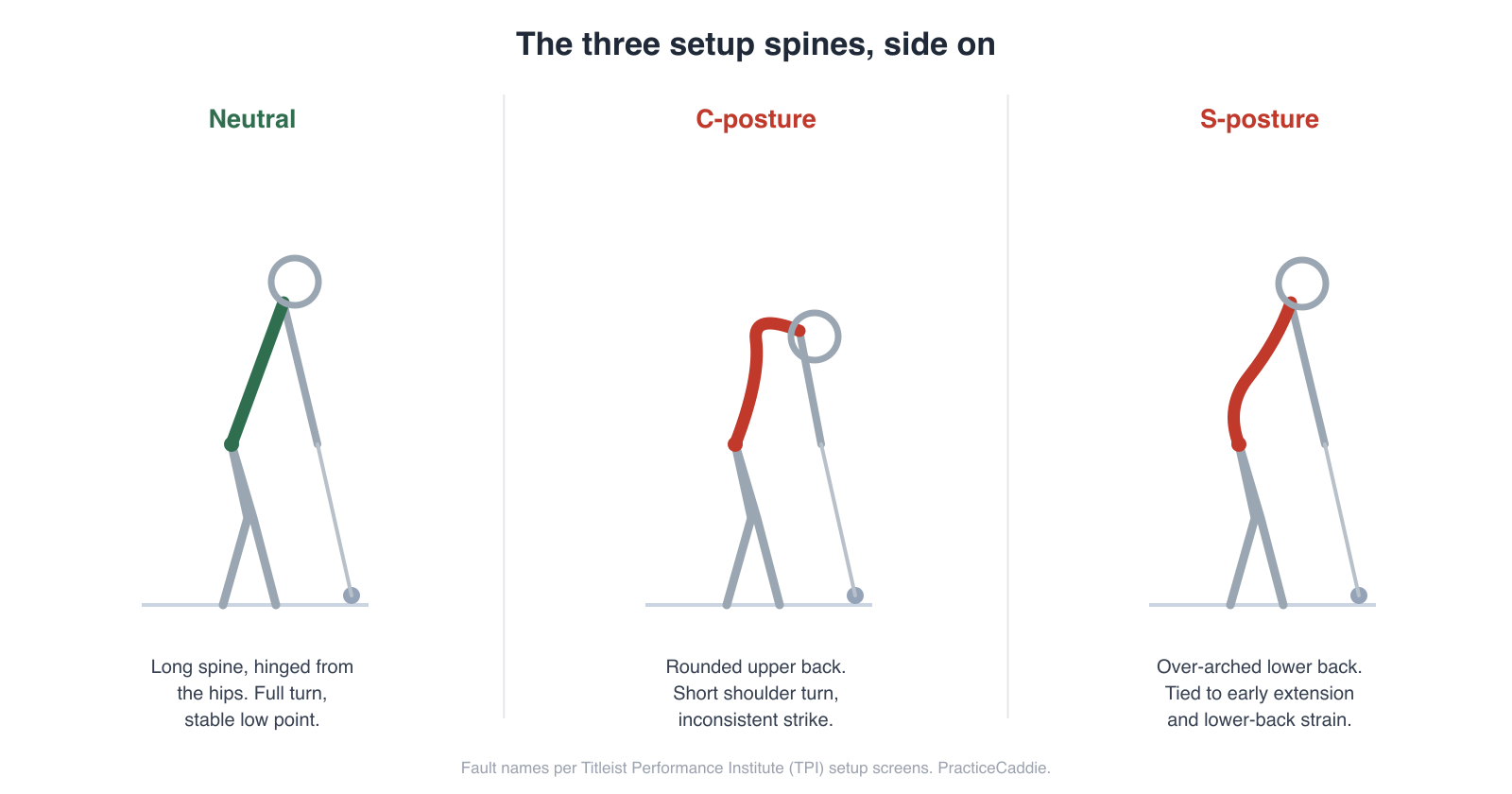 Side-view comparison of three golf setup postures at address: neutral posture with an athletic hip hinge and long spine, C-posture with a rounded upper back, and S-posture with an over-arched lower back.