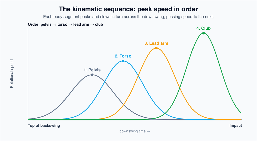 Kinematic sequence graph showing four segment-speed curves peaking in order across the downswing: the pelvis peaks and begins slowing first, then the thorax, then the lead arm, then the club at impact.