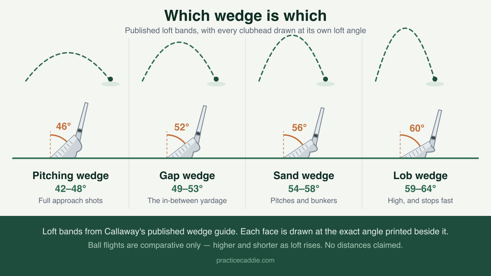 A four-panel diagram titled Which wedge is which. Each panel shows a golf wedge in side profile with its sole on a green turf line and its grooved face leaning further back than the last, with an orange arc measuring the loft against a dashed vertical: 46 degrees for the pitching wedge, 52 for the gap wedge, 56 for the sand wedge and 60 for the lob wedge. Above each club a dashed ball flight arcs higher and lands shorter as loft rises. Each panel is labelled with its published loft band: 42 to 48 degrees, 49 to 53, 54 to 58 and 59 to 64.